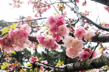 Similar image 21424885