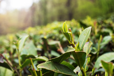 Similar image 21424887