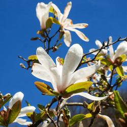 Similar image 21424891