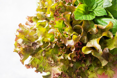 Similar image 21426275