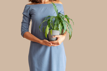 Similar image 21426288