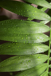 Similar image 21426293