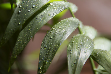 Similar image 21426294