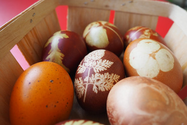 Similar image 21426929