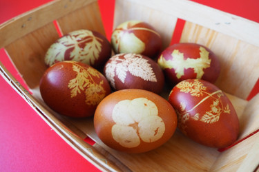 Similar image 21426932