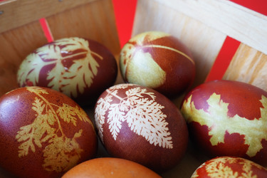 Similar image 21426933