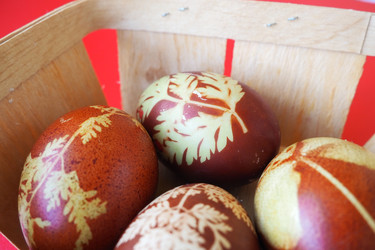 Similar image 21426934