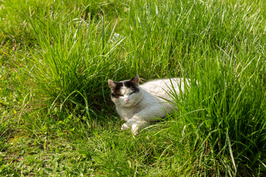 Similar image 21424896