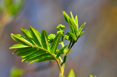 Similar image 21425588