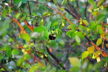 Similar image 21425590