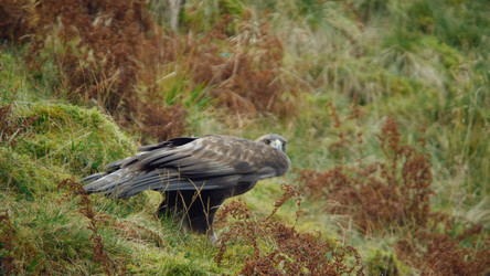 Similar image 21425593