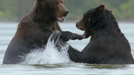 Similar image 21425594