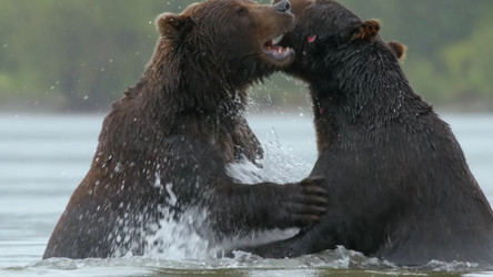 Similar image 21425595