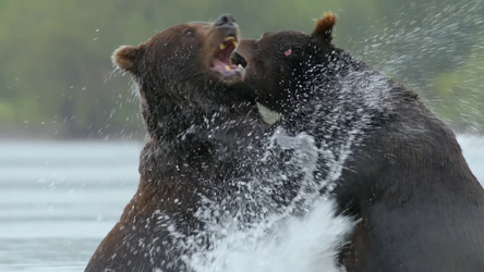 Similar image 21425596