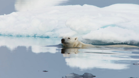 Similar image 21425598