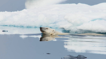 Similar image 21425599