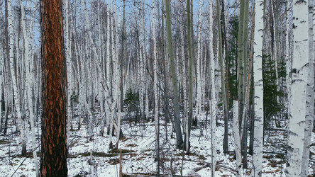 Similar image 21425601