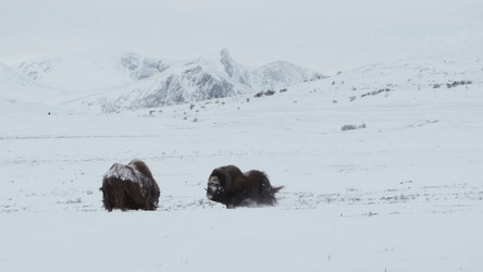 Similar image 21425602