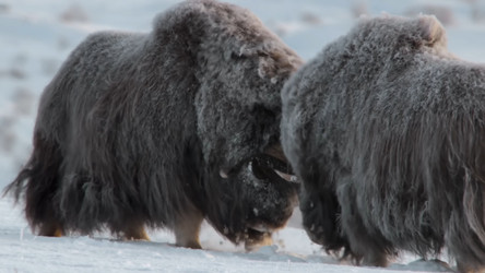 Similar image 21425603