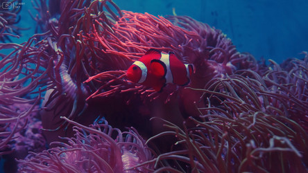 Similar image 21425605