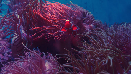 Similar image 21425606