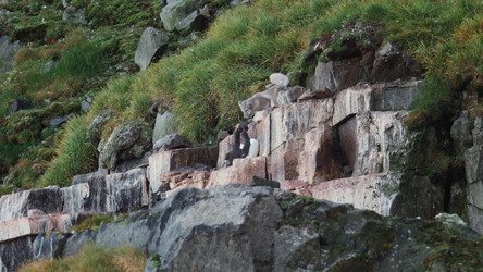 Similar image 21425644