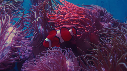 Similar image 21425607