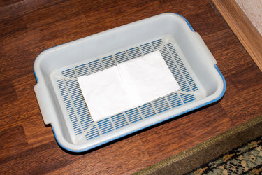 Similar image 21424912