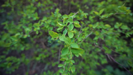 Similar image 21430834