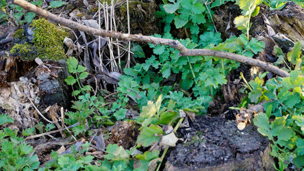 Similar image 21430835