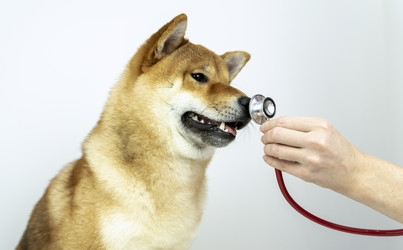 Similar image 21426301