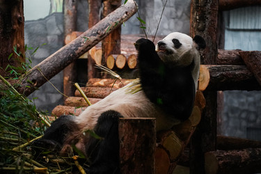 Similar image 21425619