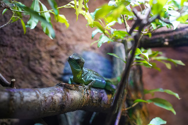 Similar image 21425620