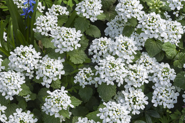 Similar image 21425623