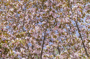 Similar image 21425624