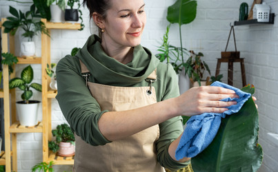 Similar image 21431065