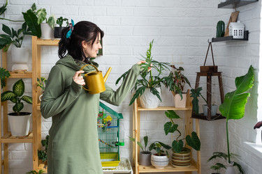 Similar image 21431067