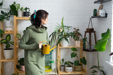 Similar image 21431069