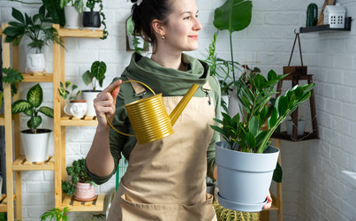 Similar image 21431072