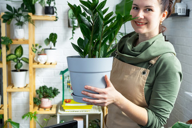 Similar image 21431078