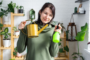 Similar image 21431079