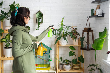 Similar image 21431081