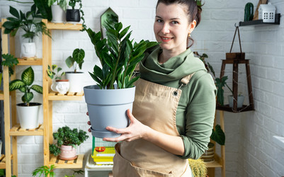 Similar image 21431082