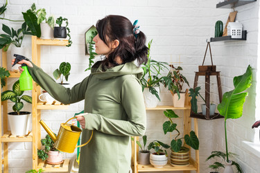 Similar image 21431089