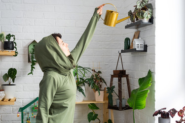 Similar image 21431091