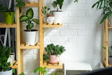 Similar image 21431092