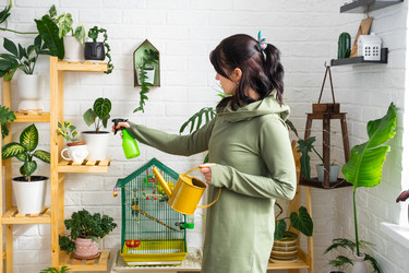 Similar image 21431093