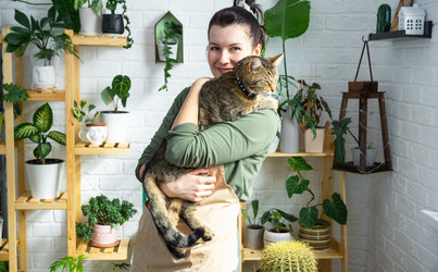 Similar image 21431094