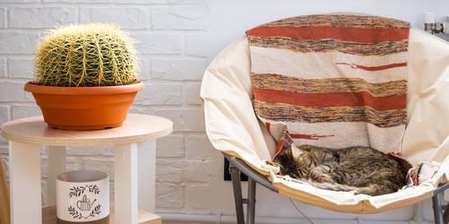 Similar image 21431095