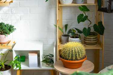 Similar image 21431096